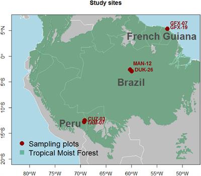 Wood Nutrient-Water-Density Linkages Are Influenced by Both Species and Environment